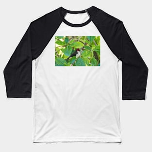 Red-crested cardinal of hawaii 4 Baseball T-Shirt